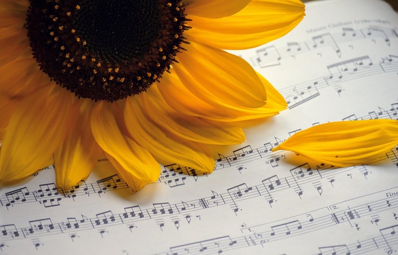 Music Concert